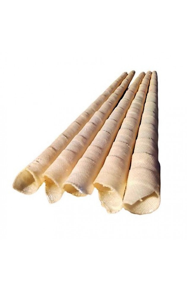 Cone Hindu com 10 unidades - 2