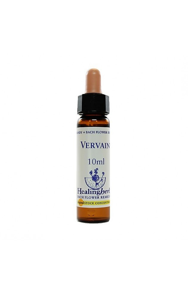 Floral Vervain