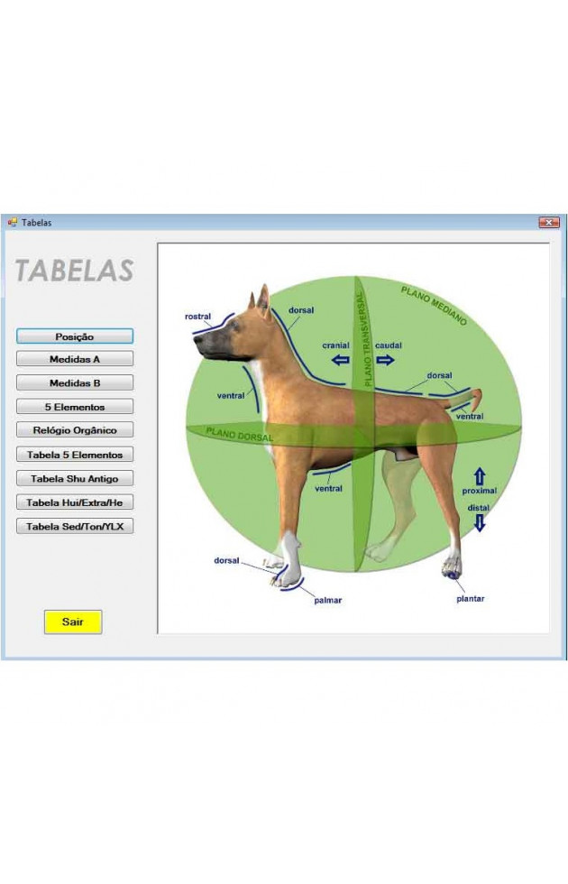 KORYOSOFT PET (DOWNLOAD) - 3