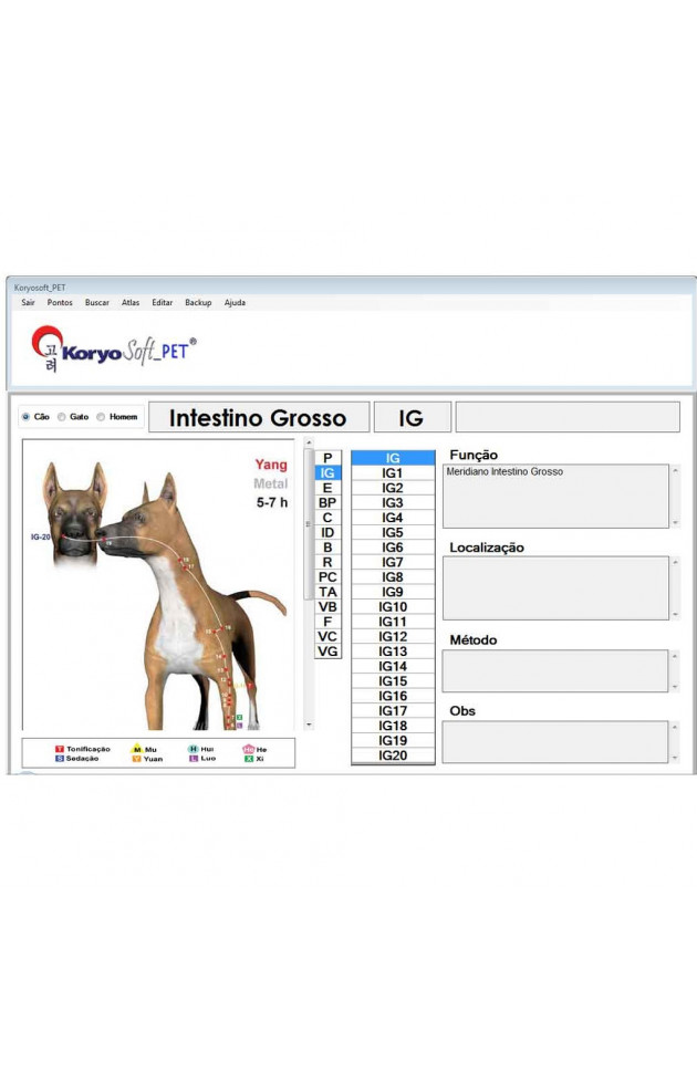 KORYOSOFT PET (DOWNLOAD) - 2