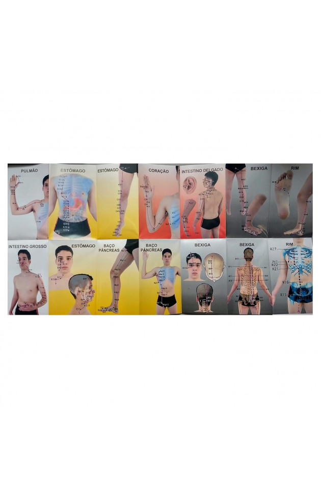 Acupuntura Mapa de Meridianos - 3