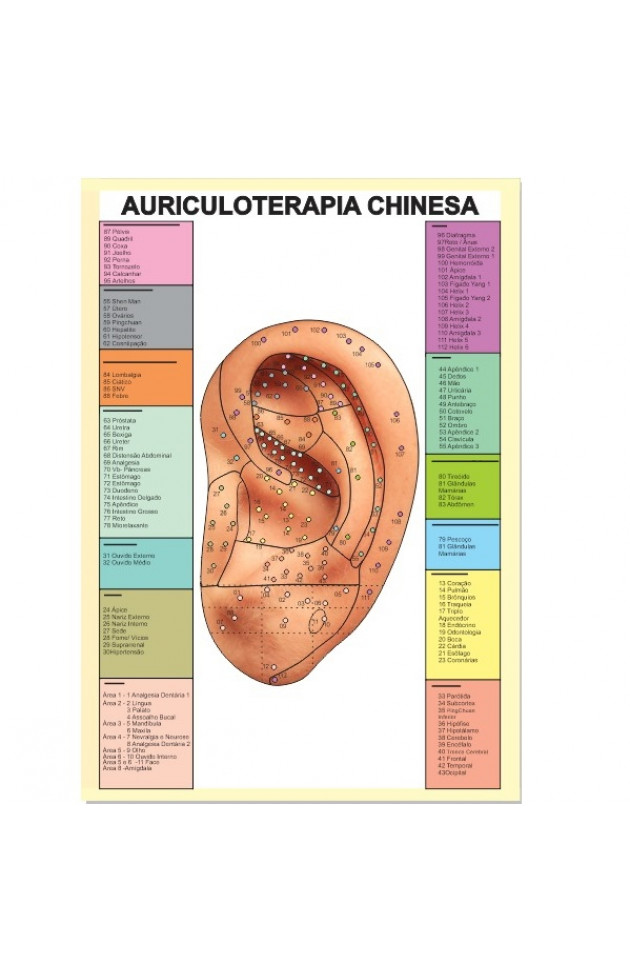 Mapa Auriculoterapia Chinesa