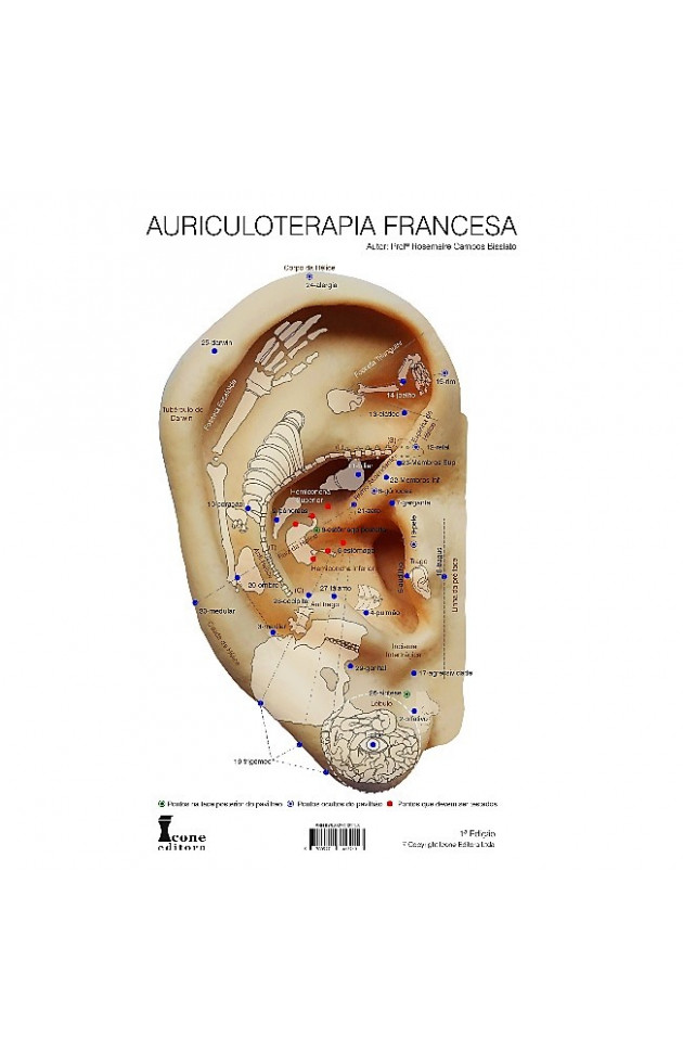 Mapa Auriculoterapia Francesa