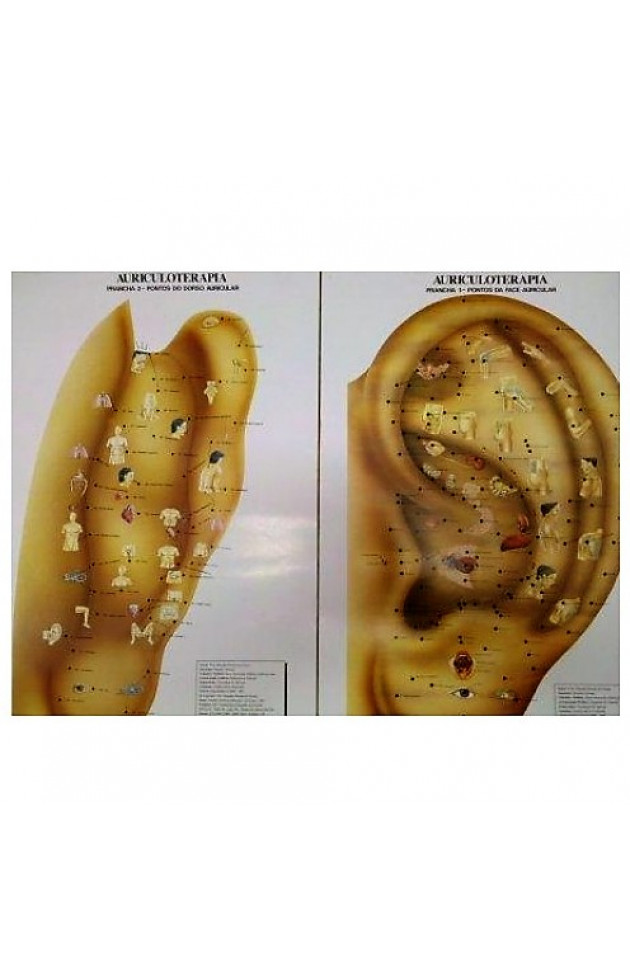 Mapa de Auriculoterapia 2 pranchas