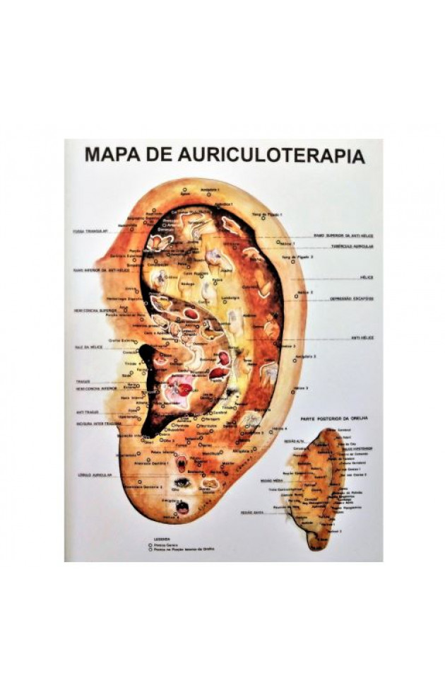 Mapa de Auriculoterapia em PVC P