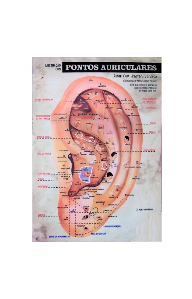 Mapa Ilustração dos Pontos Auriculares G