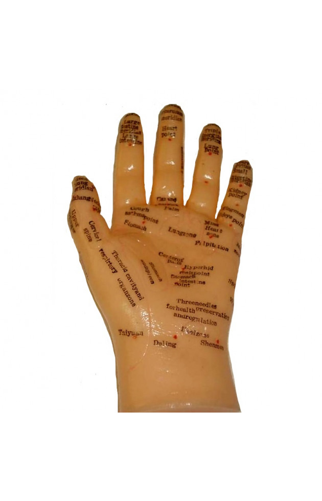 Mão com Pontos de Massagem