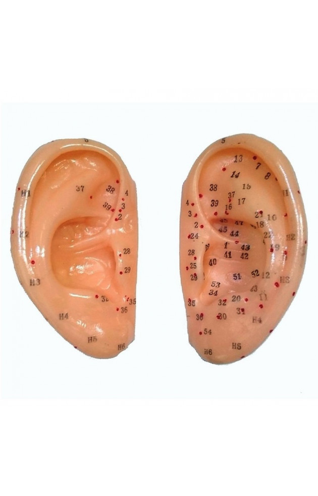 Orelha com Pontos de Acupuntura Auricular Par