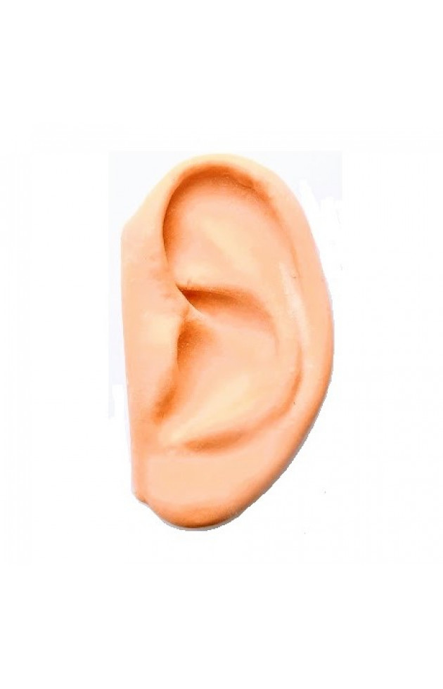 Orelha de Silicone - 1