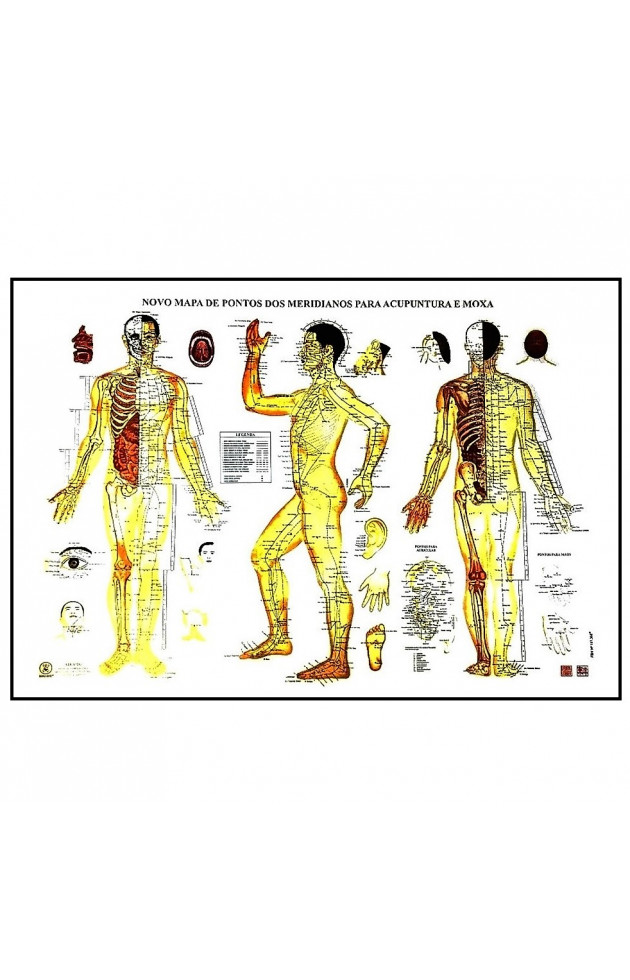 Mapa de Pontos dos Meridianos para Acupuntura e Moxa