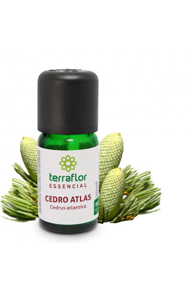 Óleo Terra Flor Cedro 10ml