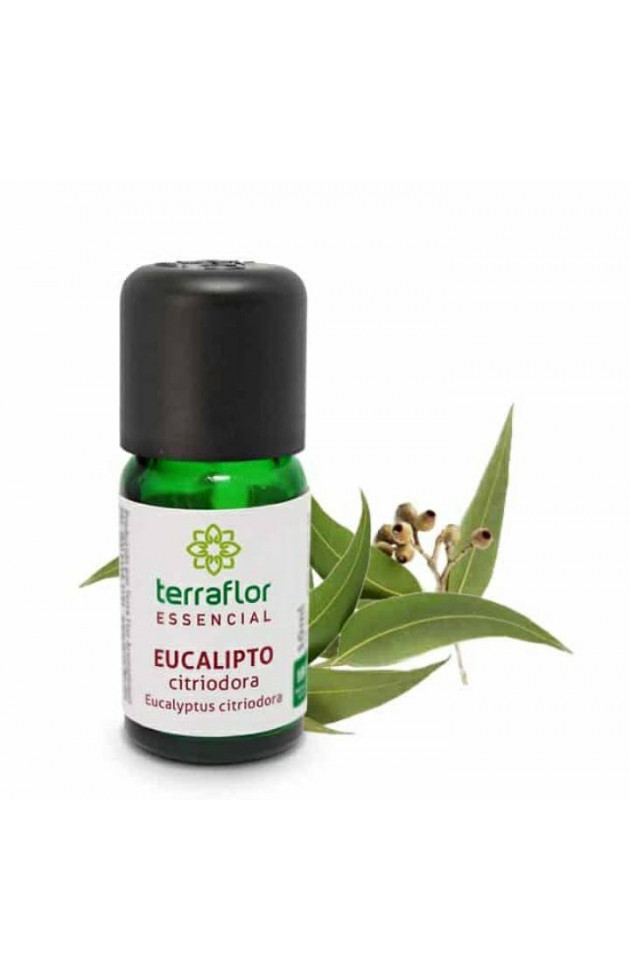 Óleo Terra Flor Eucalipto Citriodora 10ml