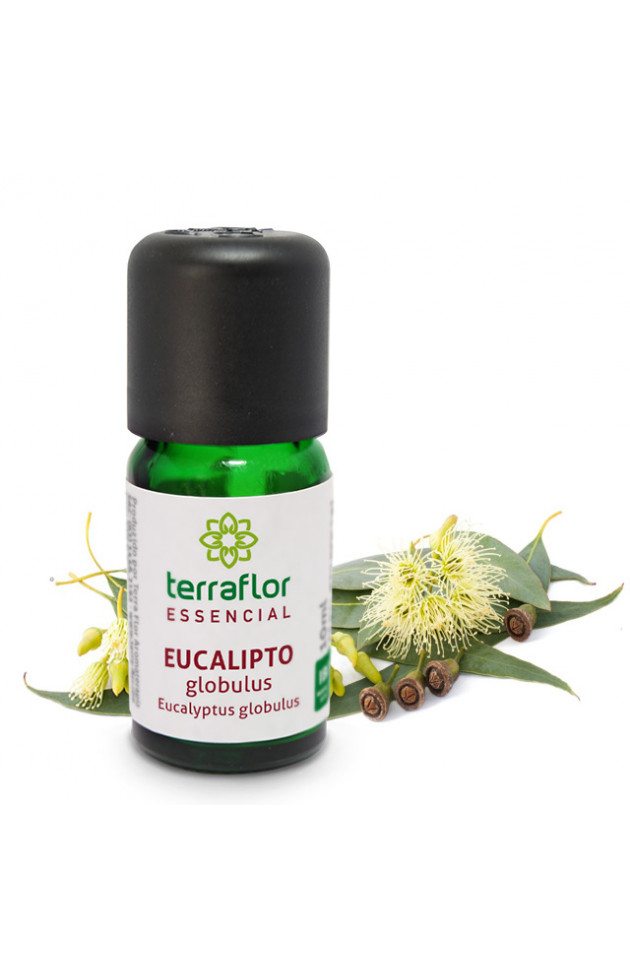 Óleo Terra Flor Eucalipto Globulus 10ml