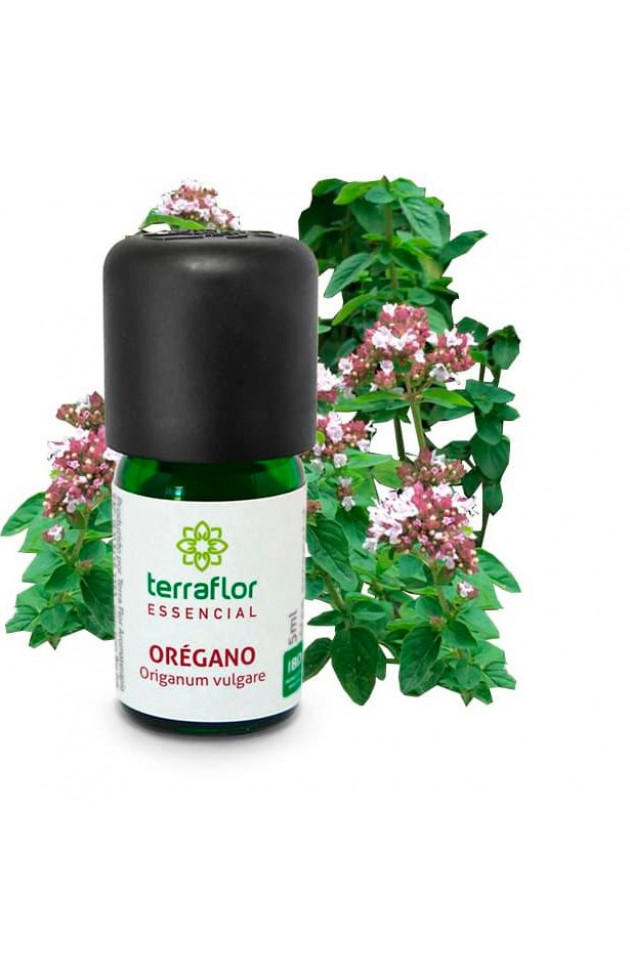 Óleo Terra Flor Oregano 5 ml