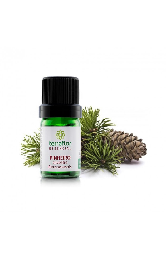 Óleo Terra Flor Pinheiro Silvestre 5ml