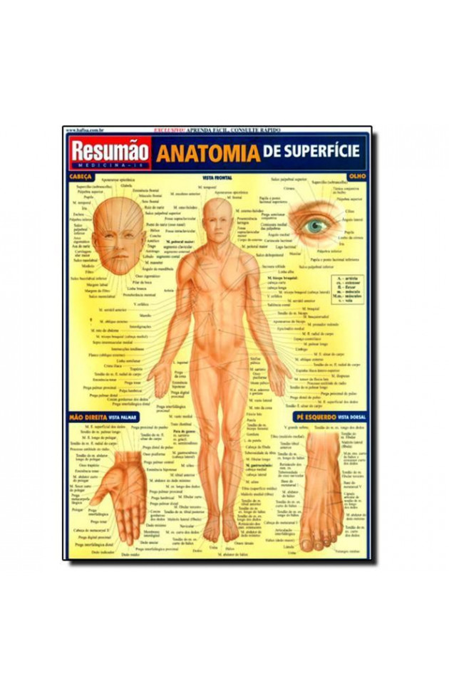 Resumão Anatomia de Superfície