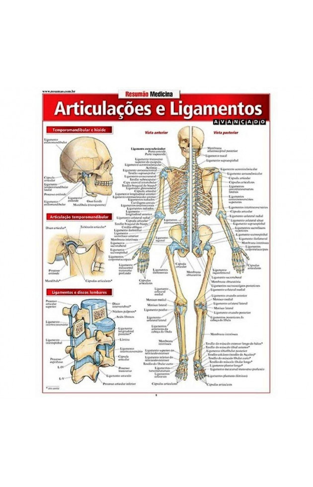 Resumão Articulação e Ligamentos