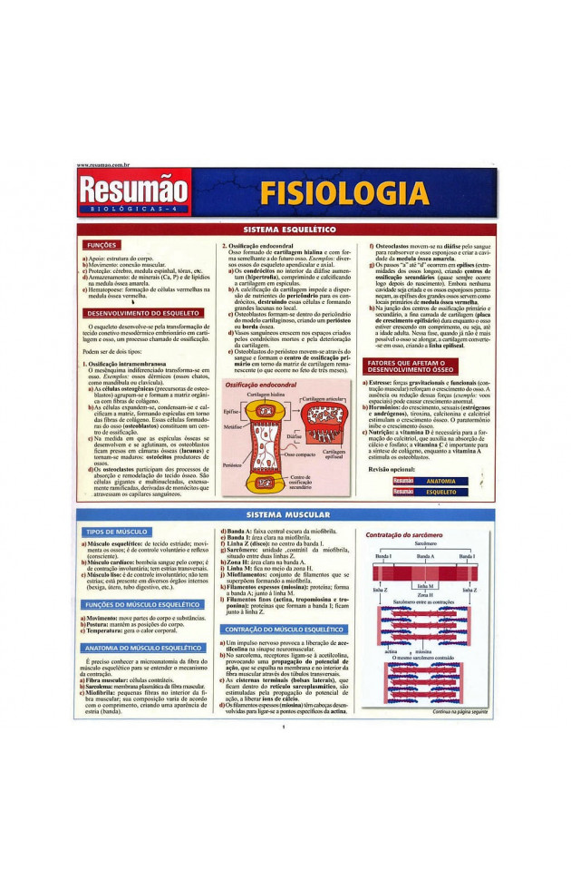 Resumão Fisiologia