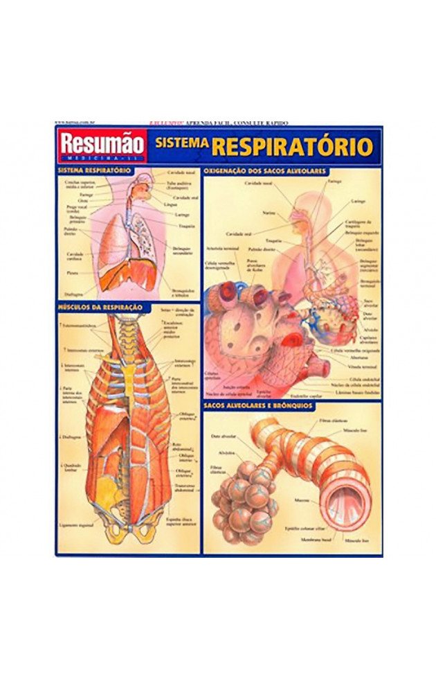 Resumão Sistema Respiratório