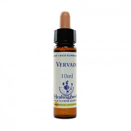 Floral Vervain