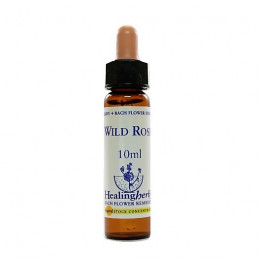 Floral Wild Rose