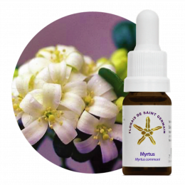 Floral Myrtus