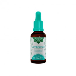 Floral Therapi  Falta de Memória 30ml - Lembramais