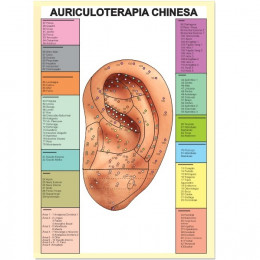 Mapa Auriculoterapia Chinesa