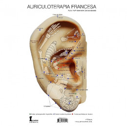 Mapa Auriculoterapia Francesa