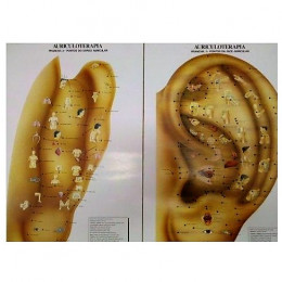 Mapa de Auriculoterapia 2 pranchas