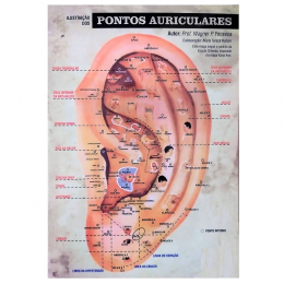 Mapa Ilustração dos Pontos Auriculares G