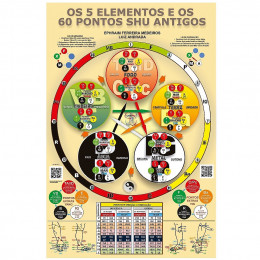Mapa Os 5 Elementos e os 60 Pontos Shu Antigos G