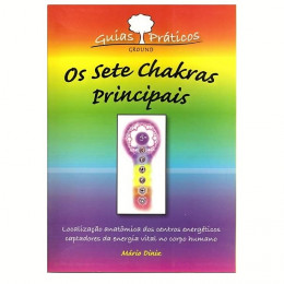 Mapa Os Sete Chakras Principais