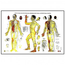 Mapa de Pontos dos Meridianos para Acupuntura e Moxa