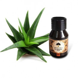 Oleo Gran Oils Aloe Vera 60ml