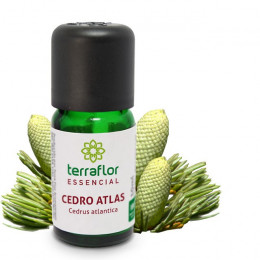 Óleo Terra Flor Cedro 10ml