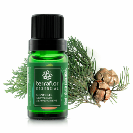 Óleo Terra Flor Cipreste 10ml