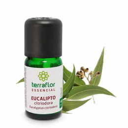 Óleo Terra Flor Eucalipto Citriodora 10ml