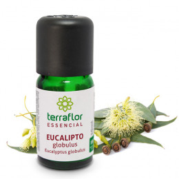 Óleo Terra Flor Eucalipto Globulus 10ml