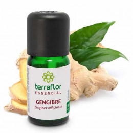 Óleo Terra Flor Gengibre 10ml