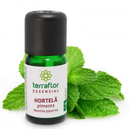 Óleo Terra Flor Hortelã Pimenta 10ml