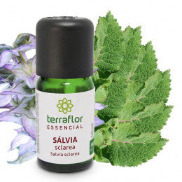 Óleo Terra Flor Sálvia 10ml