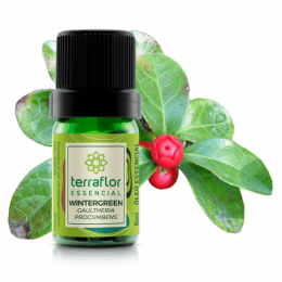 Óleo Terra Flor Wintergreen 5ml