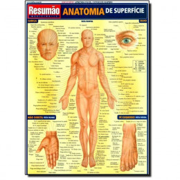 Resumão Anatomia de Superfície