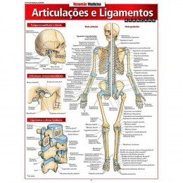 Resumão Articulação e Ligamentos