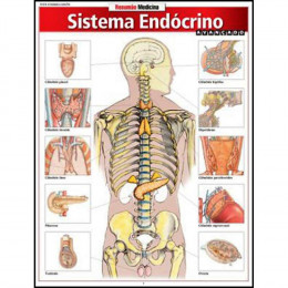 Resumão Sistema Endócrino