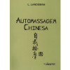 Automassagem Chinesa - 1