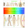 Enciclopédia de Anatomia do Corpo Sutil - 1