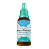 Floral Therapi Bach-Thérapi PREOCUPAÇÕES E SOFRIMENTOS DIÁRIOS - 1