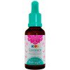 Floral Therapi Adaptação Escolar 30ml - Escolare - 1